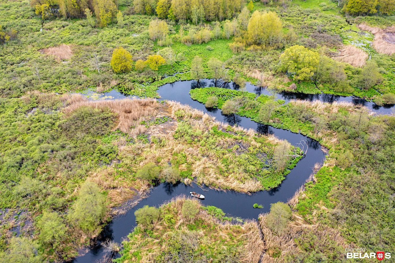 море геродота беларусь