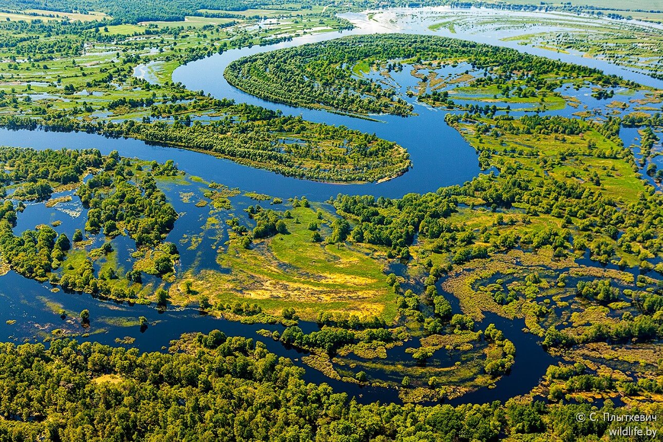 припятский национальный парк