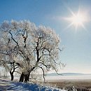 Самый короткий день в году. Как праздновать день зимнего солнцестояния?